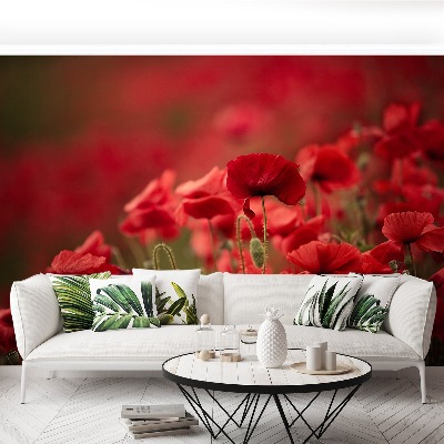 Mural de parede Flores de papoula