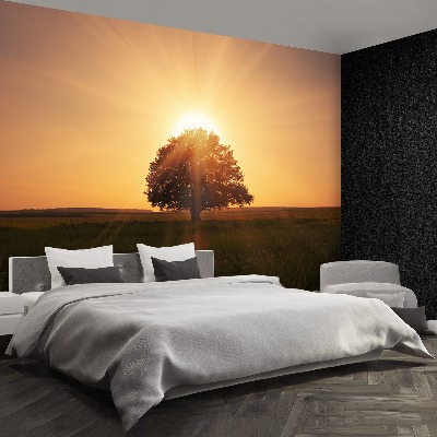 Papel de parede Árvore do Nascer do Sol