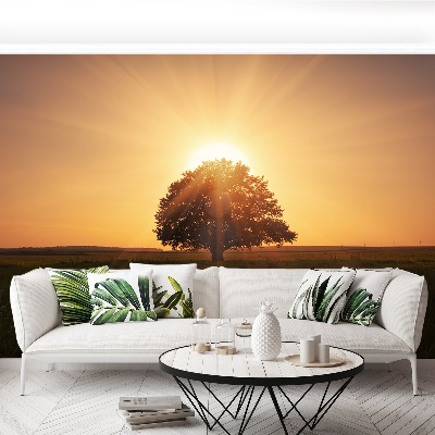 Papel de parede Árvore do Nascer do Sol