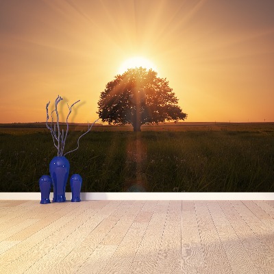 Papel de parede Árvore do Nascer do Sol