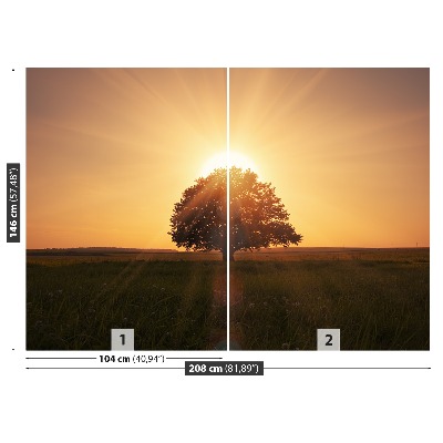 Papel de parede Árvore do Nascer do Sol