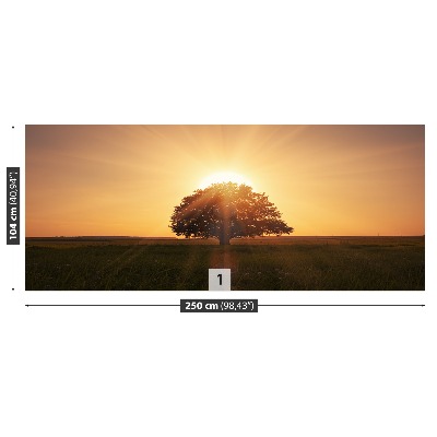 Papel de parede Árvore do Nascer do Sol