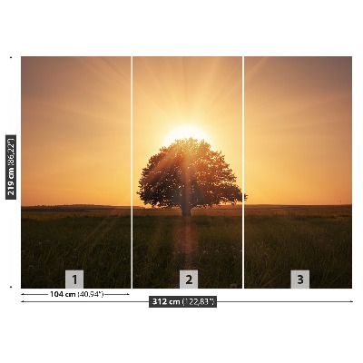 Papel de parede Árvore do Nascer do Sol