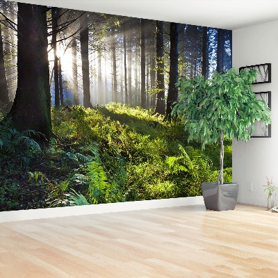 Papel de parede Madeira de sol