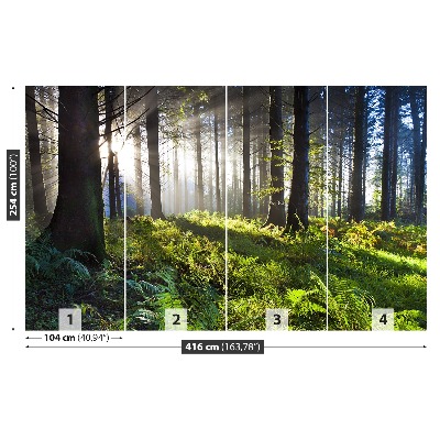 Papel de parede Madeira de sol