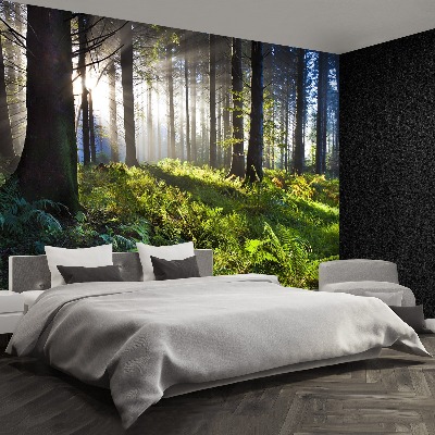 Papel de parede Madeira de sol