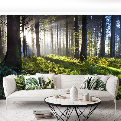 Papel de parede Madeira de sol