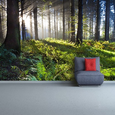 Papel de parede Madeira de sol