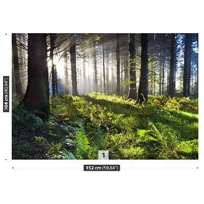 Papel de parede Madeira de sol