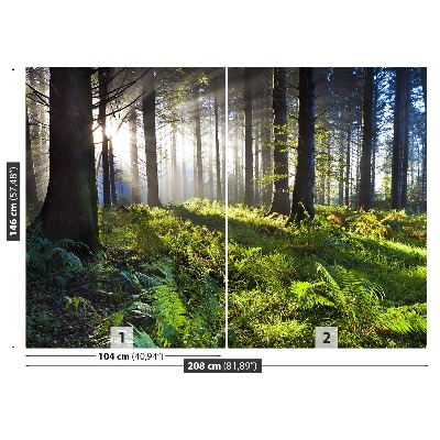 Papel de parede Madeira de sol