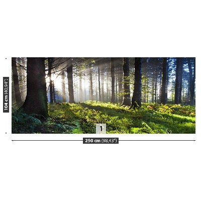 Papel de parede Madeira de sol