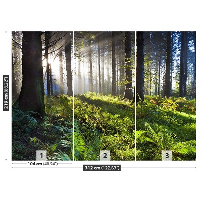 Papel de parede Madeira de sol