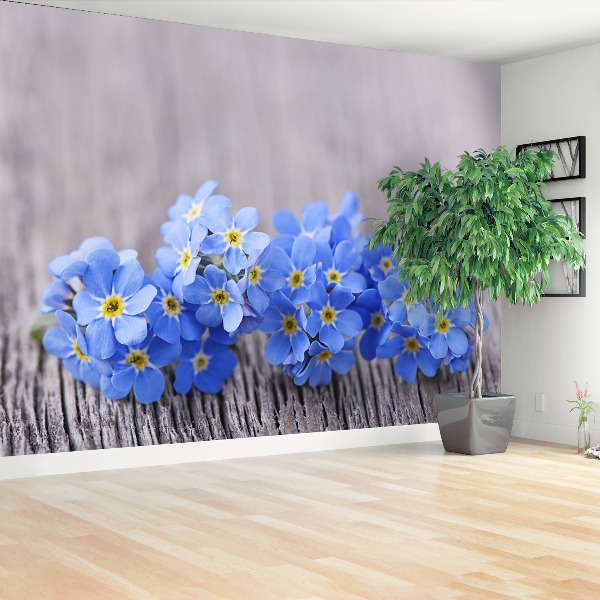 Papel de parede Miosótis