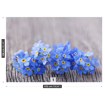 Papel de parede Miosótis