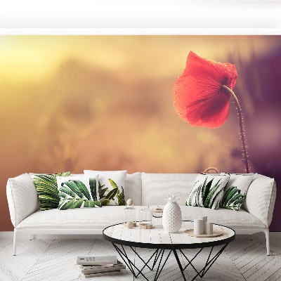 Papel de parede Flor de papoula