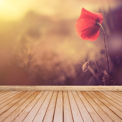 Papel de parede Flor de papoula