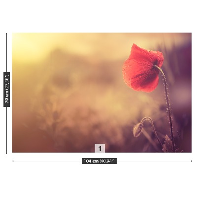 Papel de parede Flor de papoula