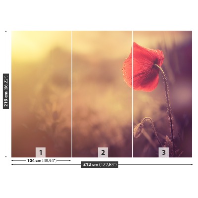 Papel de parede Flor de papoula