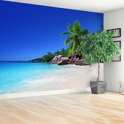 Papel de parede Praia das Seychelles