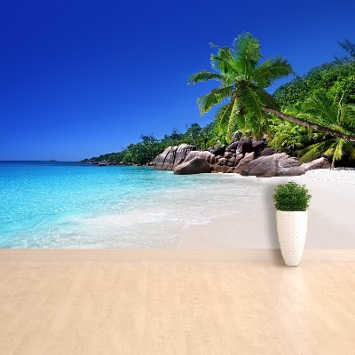 Papel de parede Praia das Seychelles