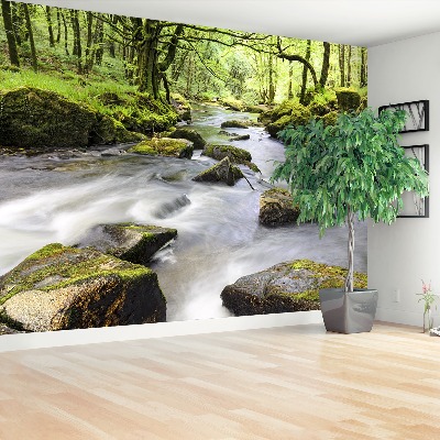 Mural de parede Rio Fowey