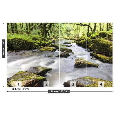 Mural de parede Rio Fowey