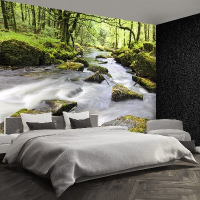 Mural de parede Rio Fowey