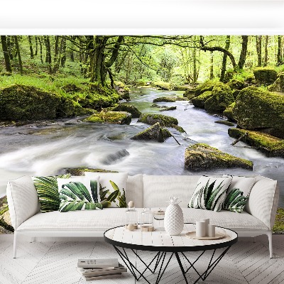 Mural de parede Rio Fowey