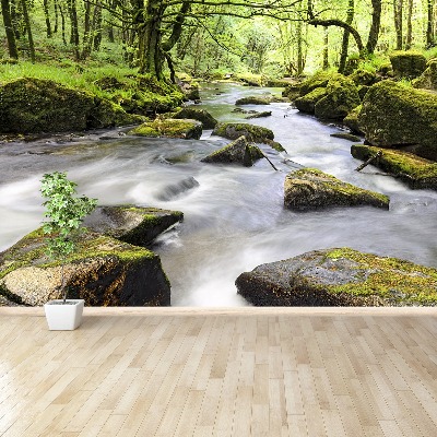 Mural de parede Rio Fowey