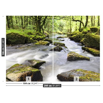 Mural de parede Rio Fowey