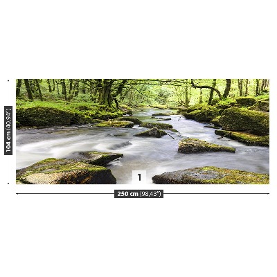 Mural de parede Rio Fowey