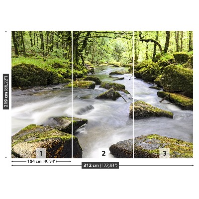 Mural de parede Rio Fowey