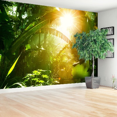 Papel de parede Selva no Vietnã