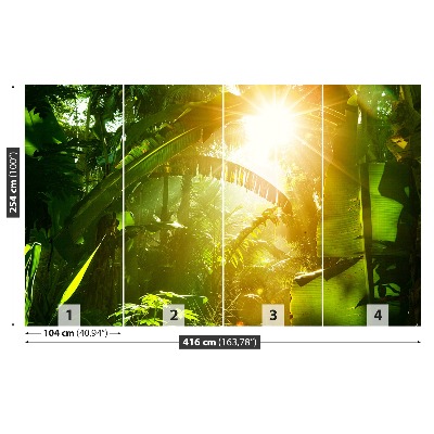 Papel de parede Selva no Vietnã