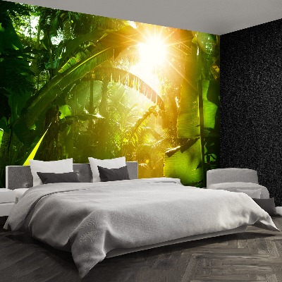 Papel de parede Selva no Vietnã