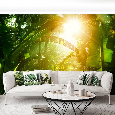 Papel de parede Selva no Vietnã