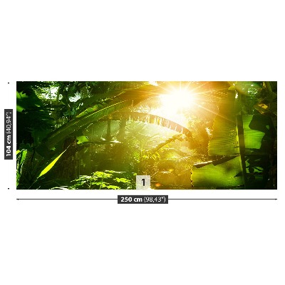 Papel de parede Selva no Vietnã