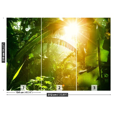 Papel de parede Selva no Vietnã