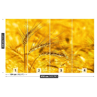 Mural de parede Campo de trigo