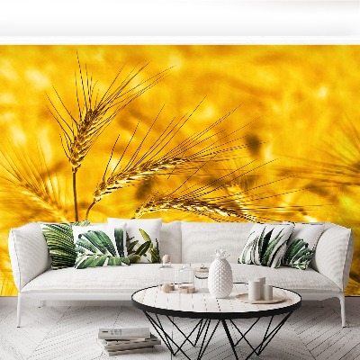 Mural de parede Campo de trigo