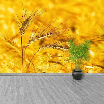 Mural de parede Campo de trigo