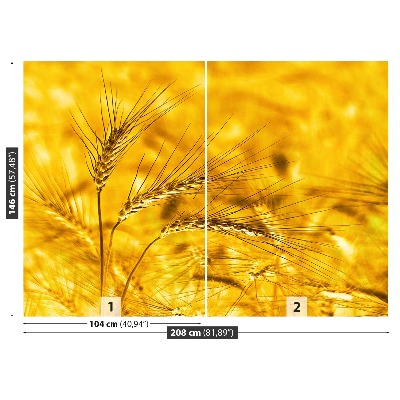 Mural de parede Campo de trigo