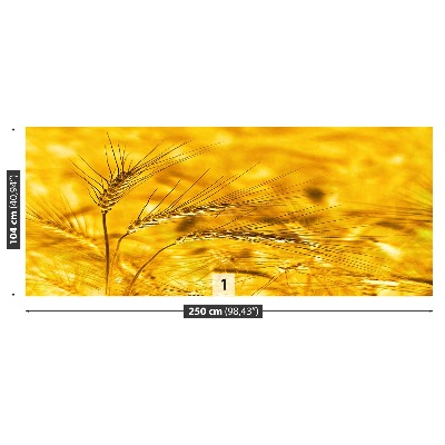 Mural de parede Campo de trigo