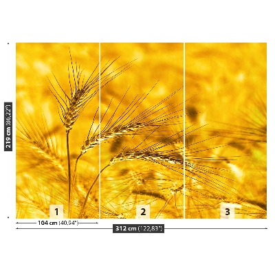 Mural de parede Campo de trigo