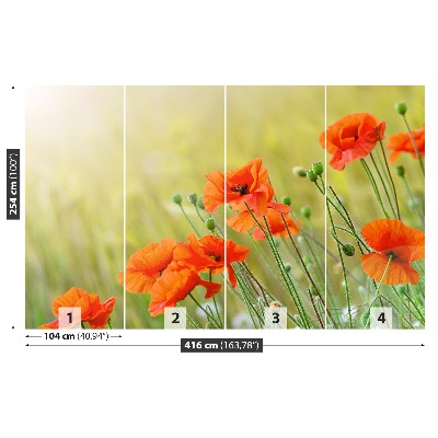 Papel de parede Papoulas