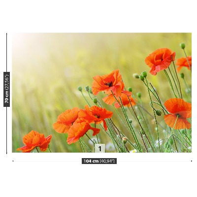 Papel de parede Papoulas