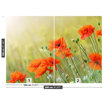 Papel de parede Papoulas