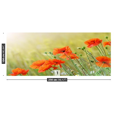 Papel de parede Papoulas