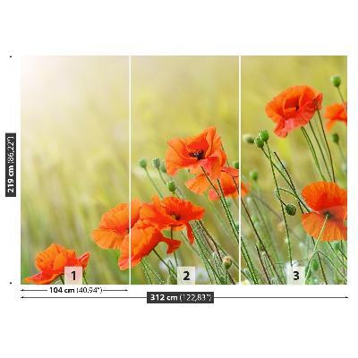 Papel de parede Papoulas