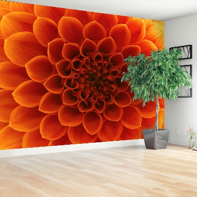 Papel de parede Flor